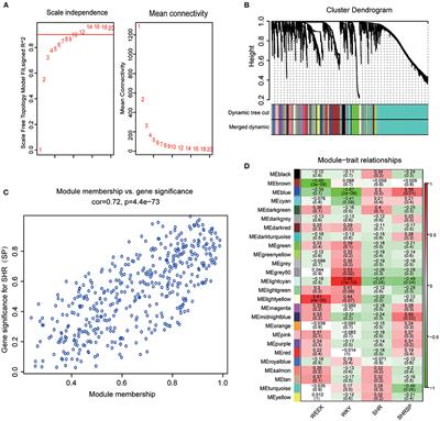 Transcriptomic Profiling Reveals the Antiapoptosis and Antioxidant Stress Effects of Fos in Ischemic Stroke